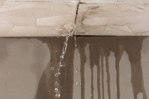 Professional Burst Pipe Cleanup technician working in Madison, IL